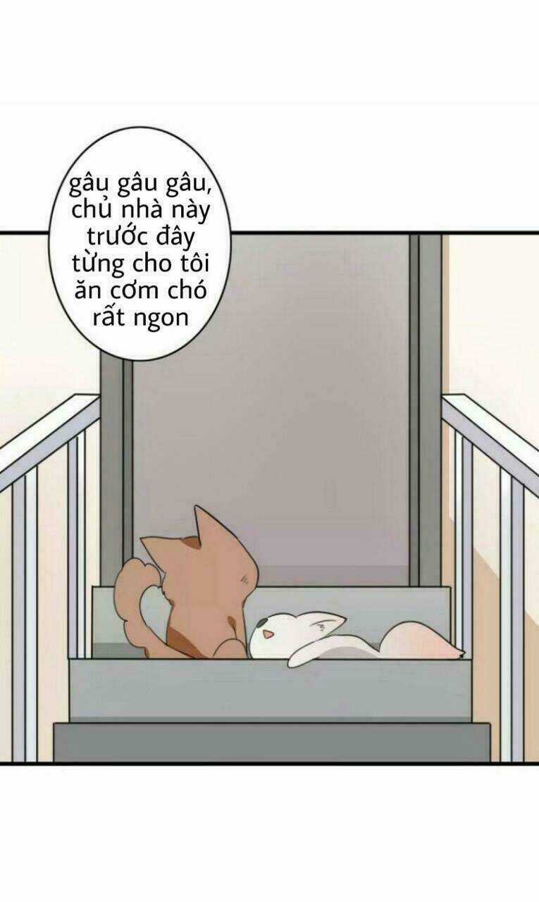 Thú Sủng Của Tôi Bị Mất Trí Rồi Chapter 38 trang 22