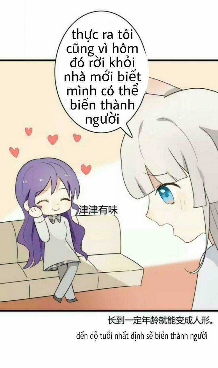 Thú Sủng Của Tôi Bị Mất Trí Rồi Chapter 38 trang 26