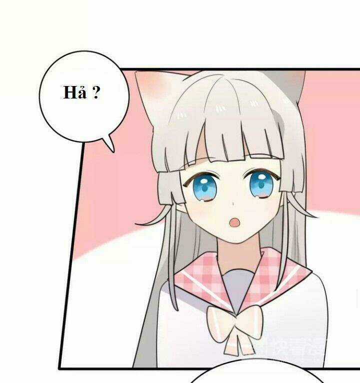 Thú Sủng Của Tôi Bị Mất Trí Rồi Chapter 39 trang 21