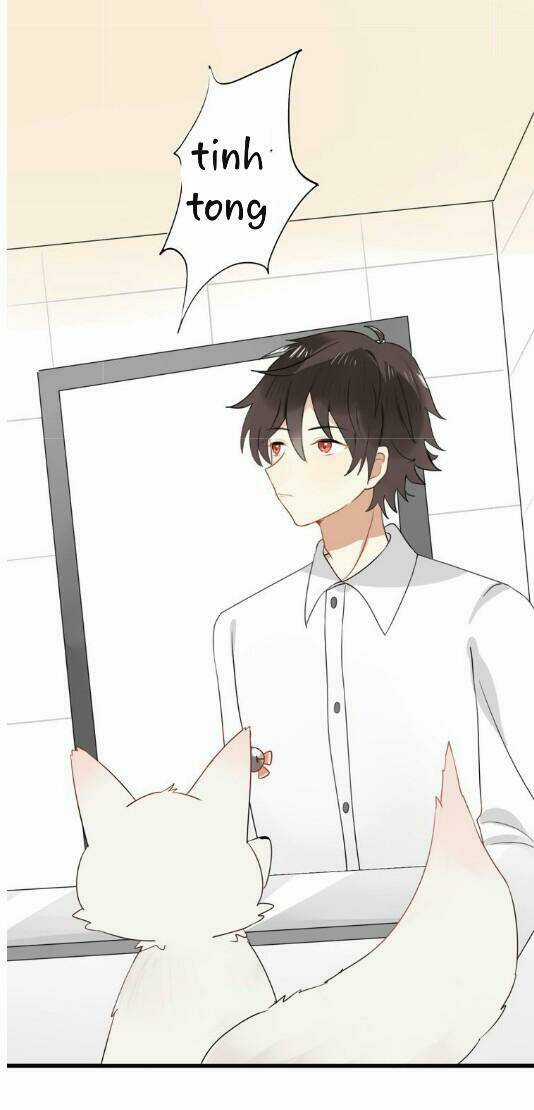 Thú Sủng Của Tôi Bị Mất Trí Rồi Chapter 4 trang 17