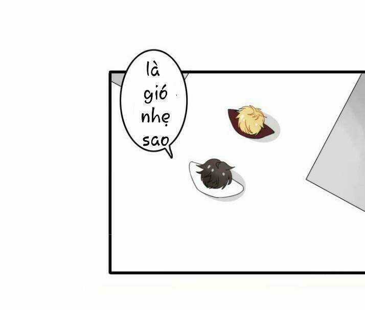 Thú Sủng Của Tôi Bị Mất Trí Rồi Chapter 4 trang 23