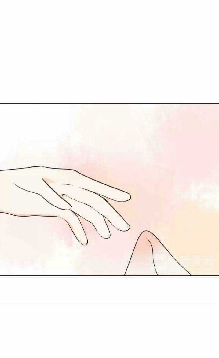 Thú Sủng Của Tôi Bị Mất Trí Rồi Chapter 42 trang 5