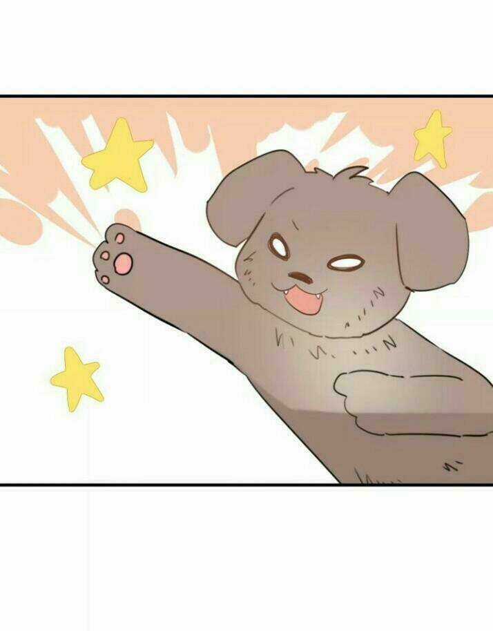 Thú Sủng Của Tôi Bị Mất Trí Rồi Chapter 44 trang 21