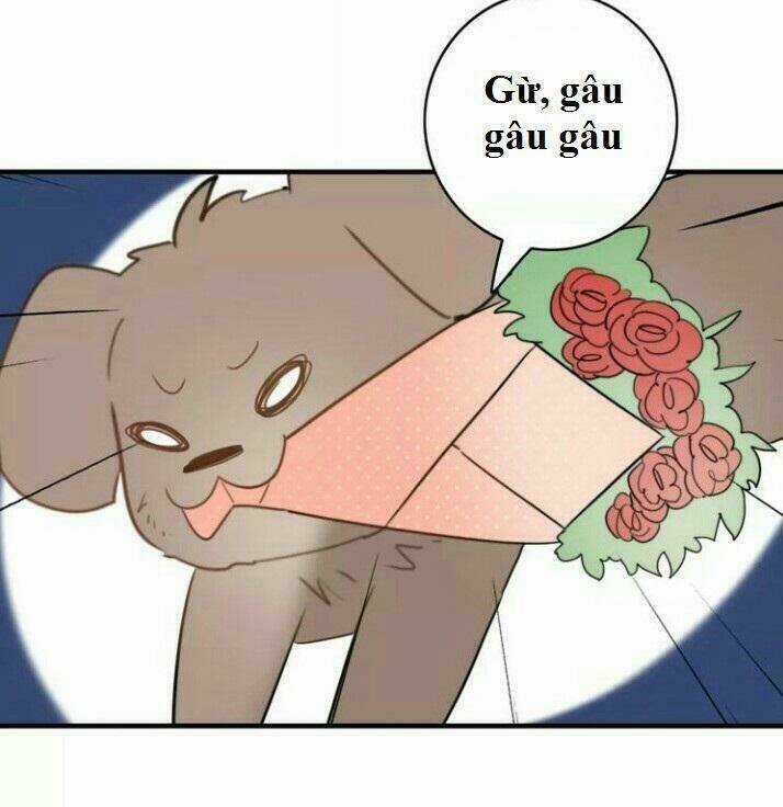 Thú Sủng Của Tôi Bị Mất Trí Rồi Chapter 44 trang 23