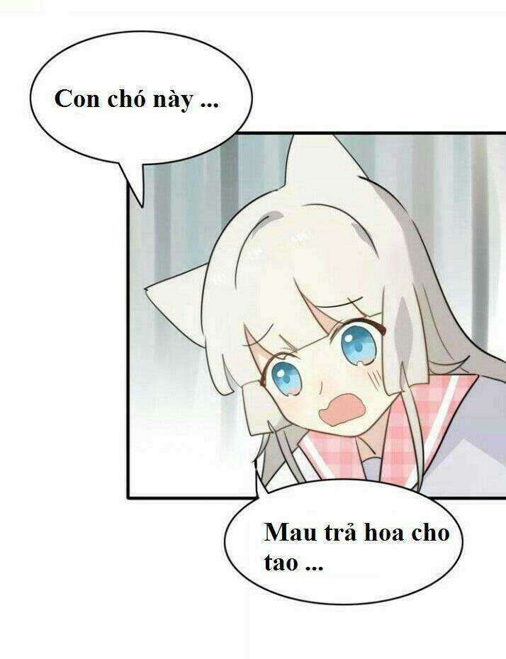 Thú Sủng Của Tôi Bị Mất Trí Rồi Chapter 44 trang 24