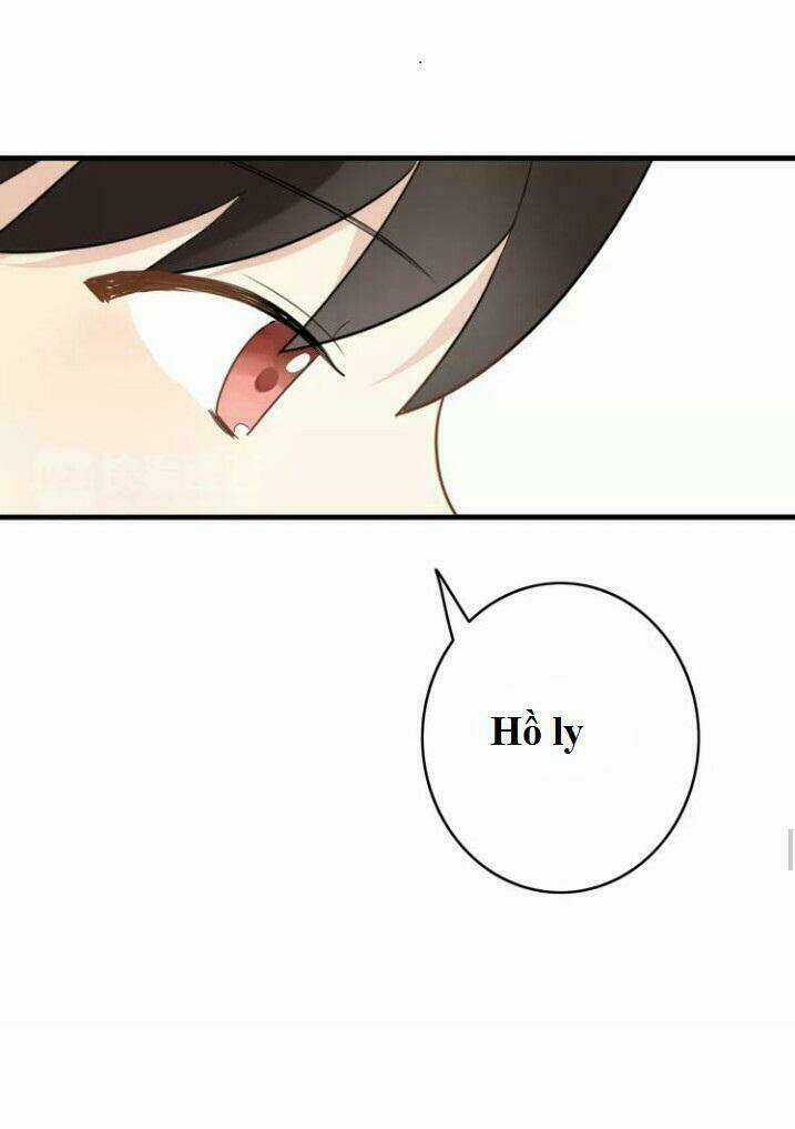 Thú Sủng Của Tôi Bị Mất Trí Rồi Chapter 44 trang 31