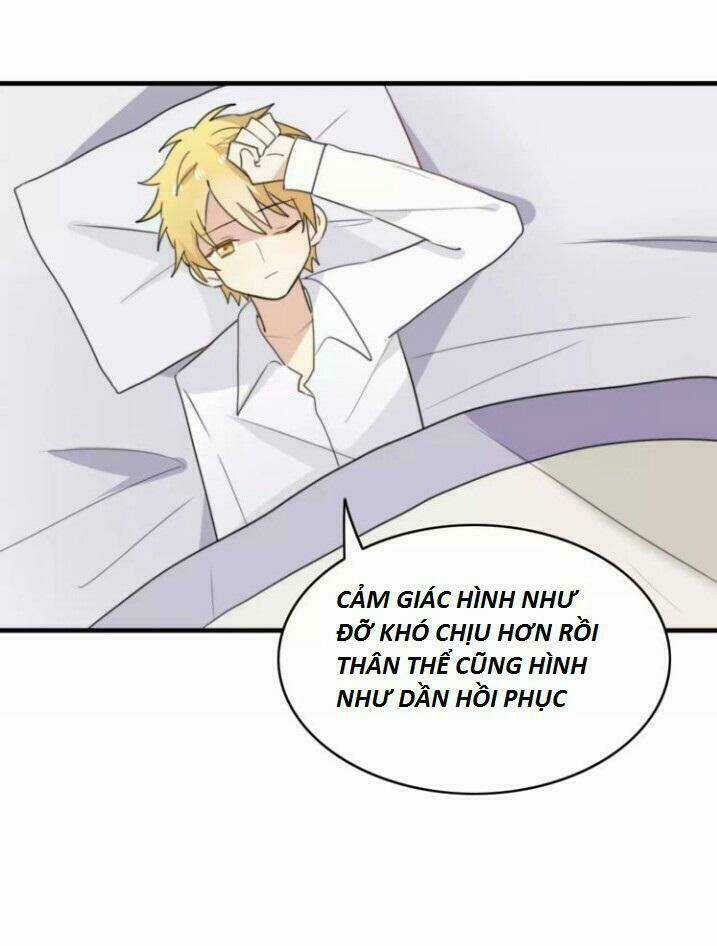 Thú Sủng Của Tôi Bị Mất Trí Rồi Chapter 45 trang 11