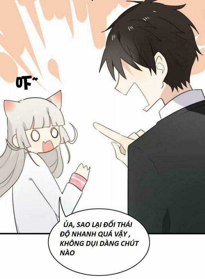 Thú Sủng Của Tôi Bị Mất Trí Rồi Chapter 45 trang 9