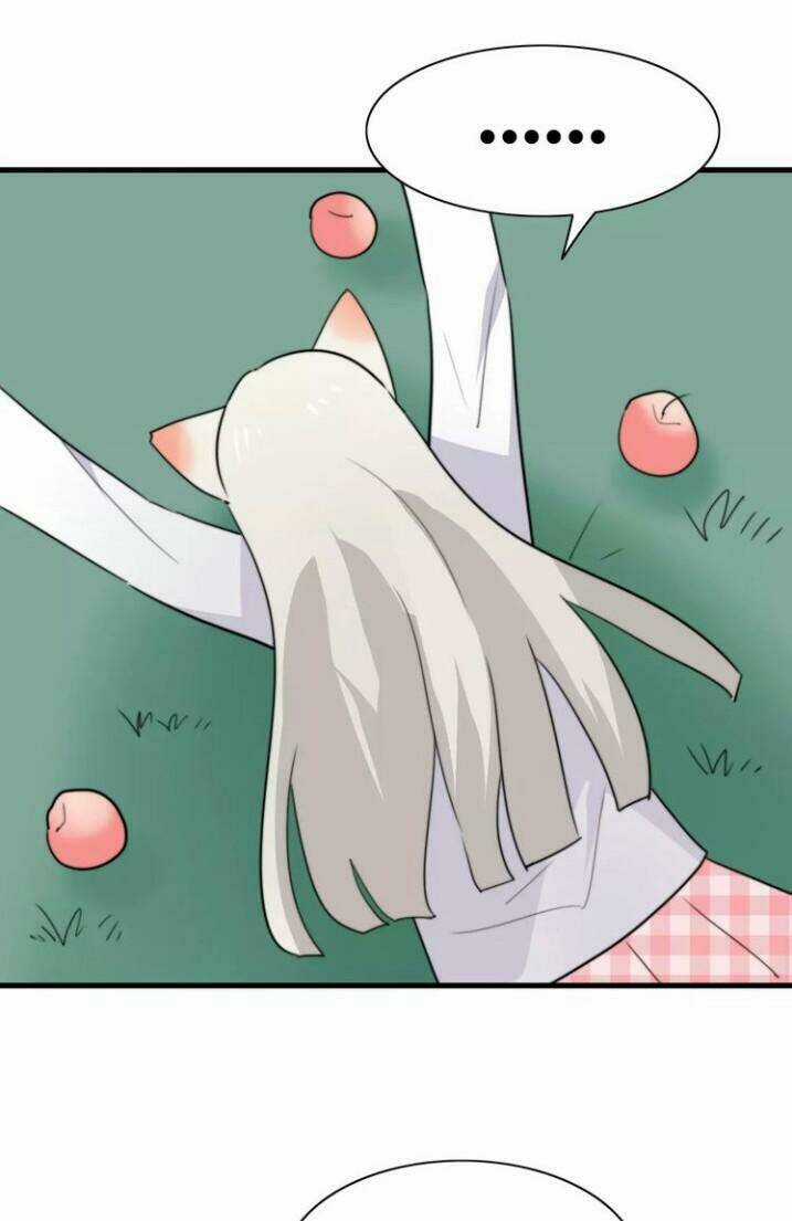 Thú Sủng Của Tôi Bị Mất Trí Rồi Chapter 46 trang 31