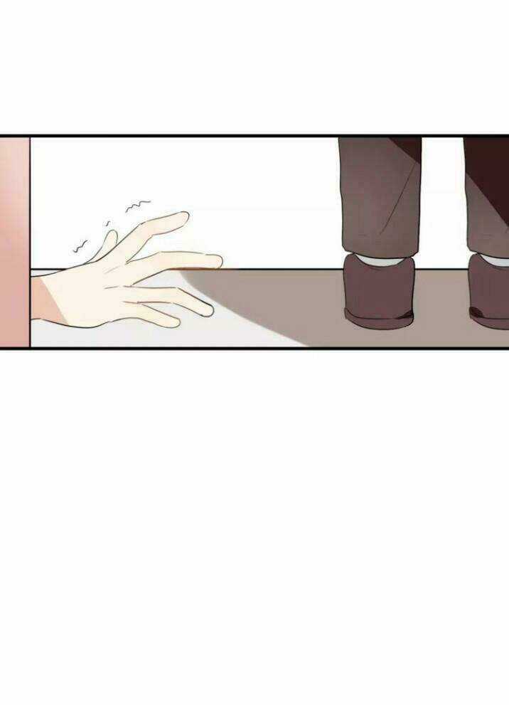 Thú Sủng Của Tôi Bị Mất Trí Rồi Chapter 47 trang 17