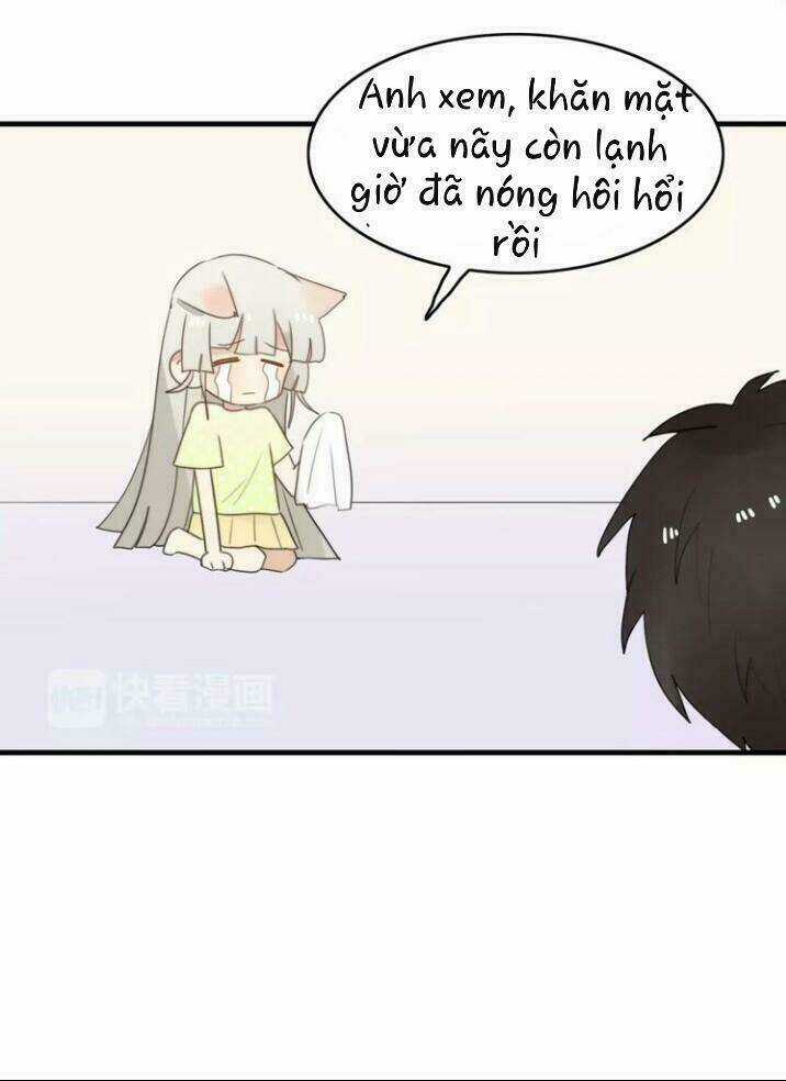 Thú Sủng Của Tôi Bị Mất Trí Rồi Chapter 50 trang 41