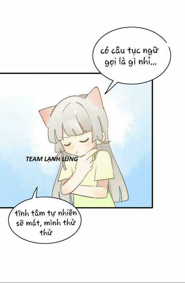 Thú Sủng Của Tôi Bị Mất Trí Rồi Chapter 50 trang 43