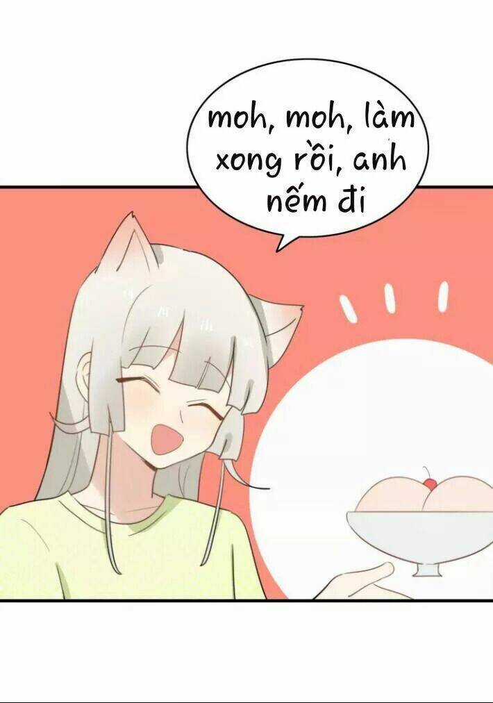 Thú Sủng Của Tôi Bị Mất Trí Rồi Chapter 51 trang 16