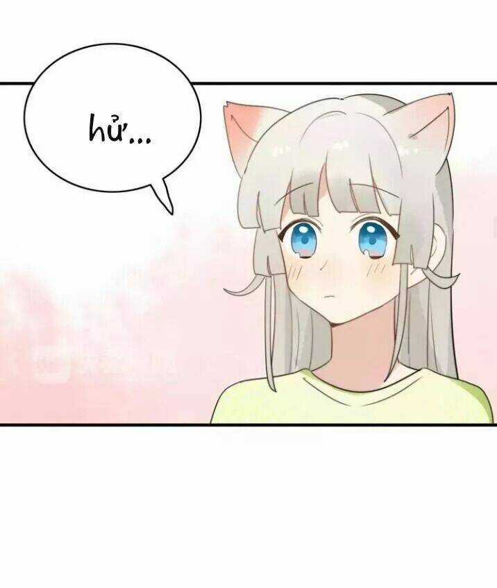 Thú Sủng Của Tôi Bị Mất Trí Rồi Chapter 51 trang 2