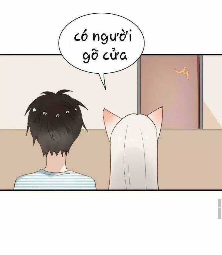 Thú Sủng Của Tôi Bị Mất Trí Rồi Chapter 53 trang 26