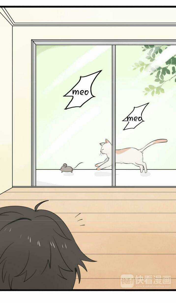 Thú Sủng Của Tôi Bị Mất Trí Rồi Chapter 8 trang 8