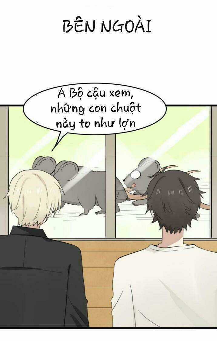 Thú Sủng Của Tôi Bị Mất Trí Rồi Chapter 9 trang 14