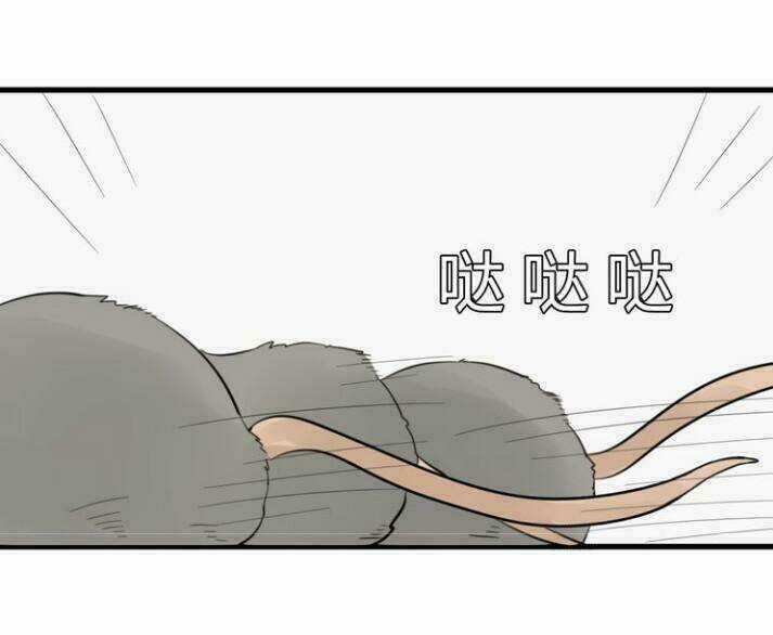 Thú Sủng Của Tôi Bị Mất Trí Rồi Chapter 9 trang 2