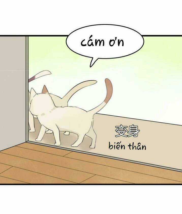 Thú Sủng Của Tôi Bị Mất Trí Rồi Chapter 9 trang 21