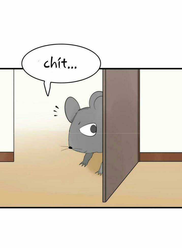 Thú Sủng Của Tôi Bị Mất Trí Rồi Chapter 9 trang 25