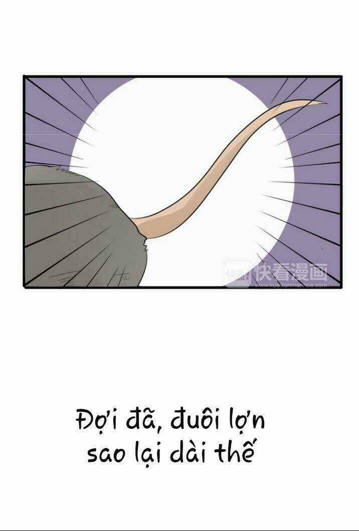 Thú Sủng Của Tôi Bị Mất Trí Rồi Chapter 9 trang 5