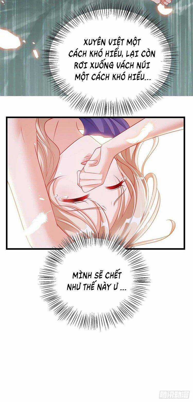 Thú Thế Cuồng Phi: Bất Đương Dị Giới Nữ Hải Vương Chương 2 trang 6