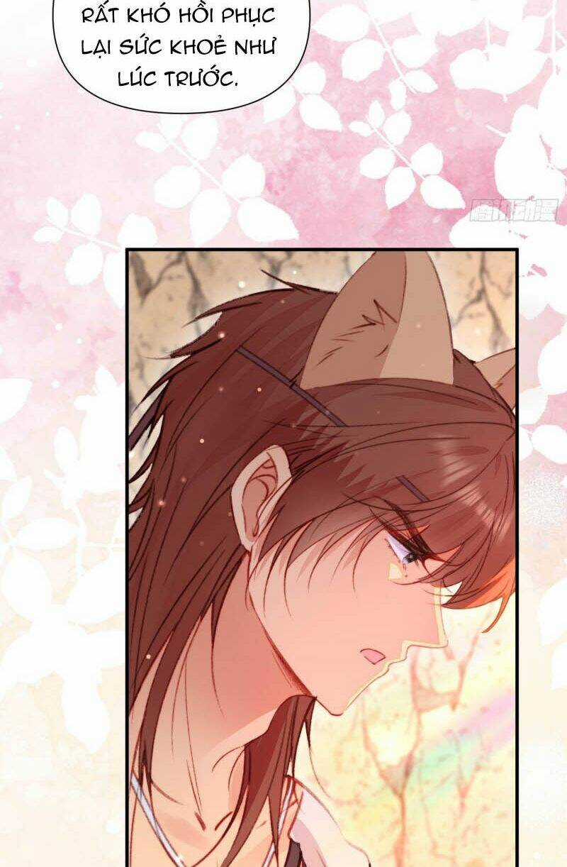 Thú Thế Ngọt Sủng, Tôi Ở Dị Giới Làm Vũ Thần Chapter 14 trang 26