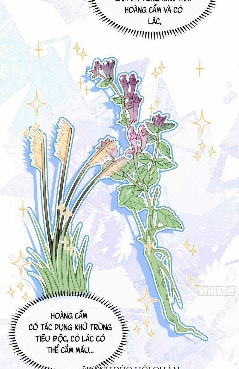 Thú Thế Ngọt Sủng, Tôi Ở Dị Giới Làm Vũ Thần Chapter 16 trang 32