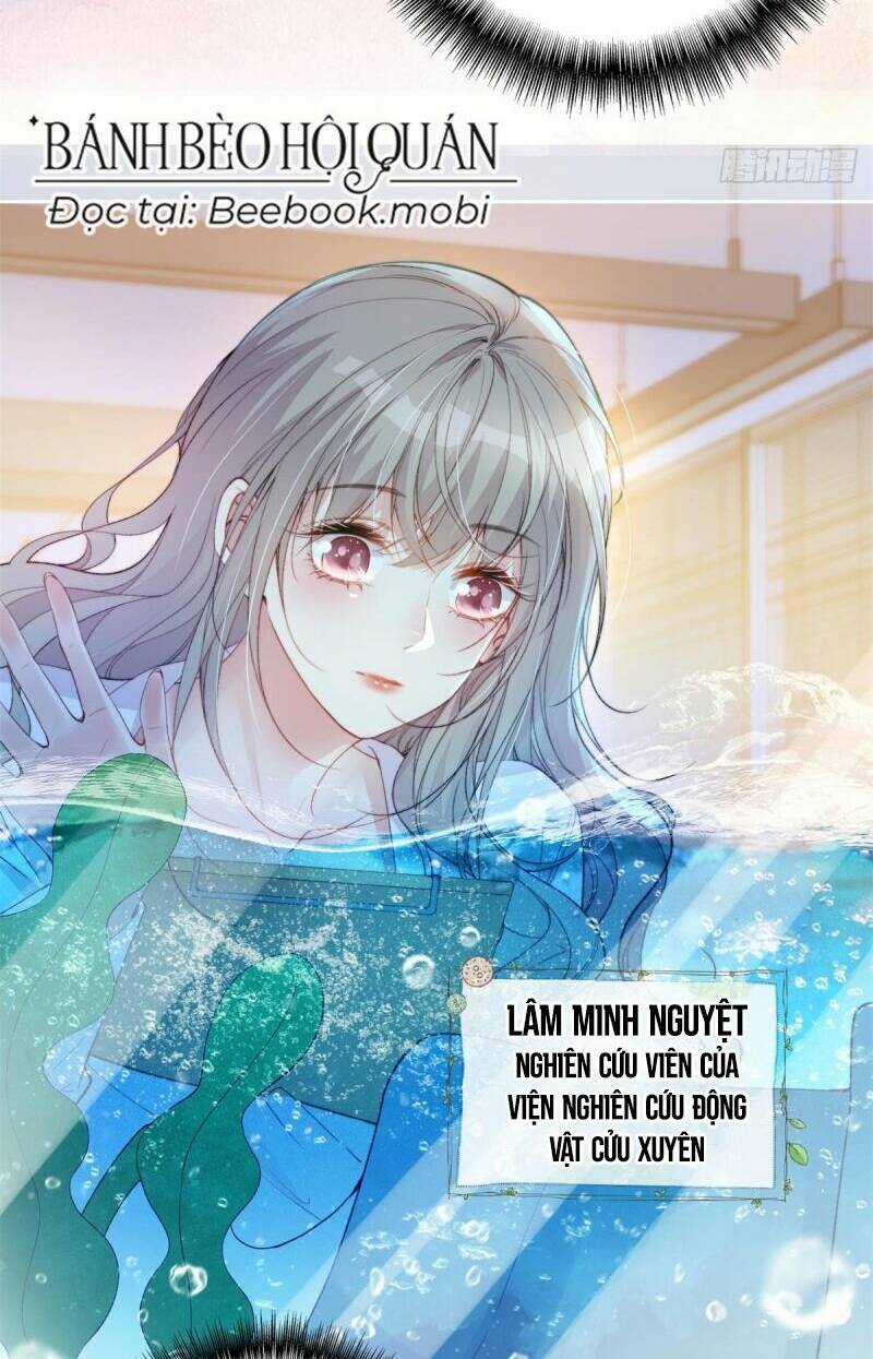 Thú Thế Ngọt Sủng, Tôi Ở Dị Giới Làm Vũ Thần Chapter 2 trang 3