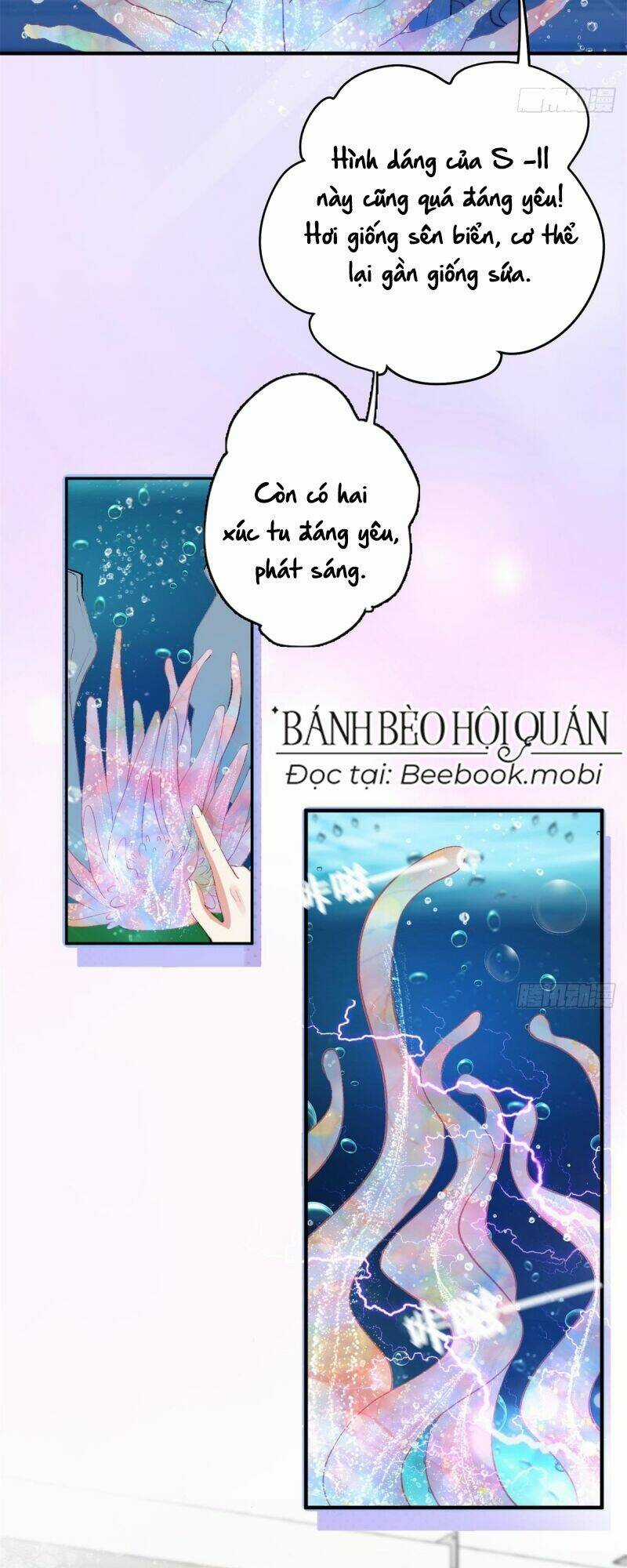 Thú Thế Ngọt Sủng, Tôi Ở Dị Giới Làm Vũ Thần Chapter 2 trang 7