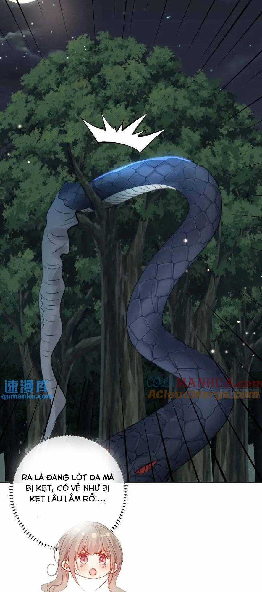 Thú Thế Ngọt Sủng, Tôi Ở Dị Giới Làm Vũ Thần Chapter 29 trang 8