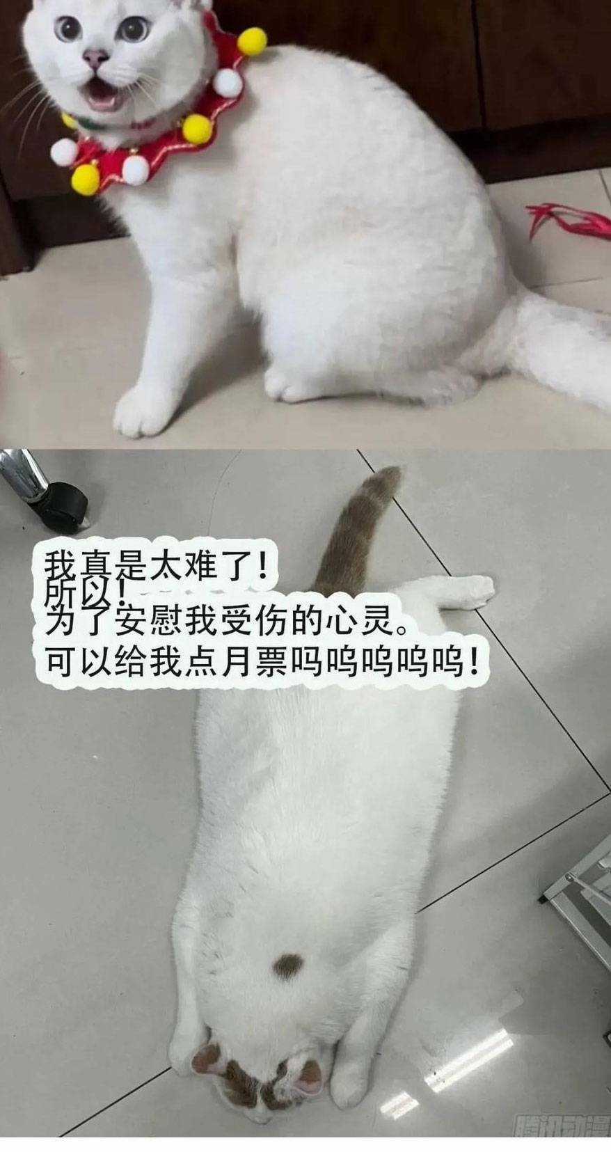 Thú Thế Ngọt Sủng, Tôi Ở Dị Giới Làm Vũ Thần Chapter 30 trang 63