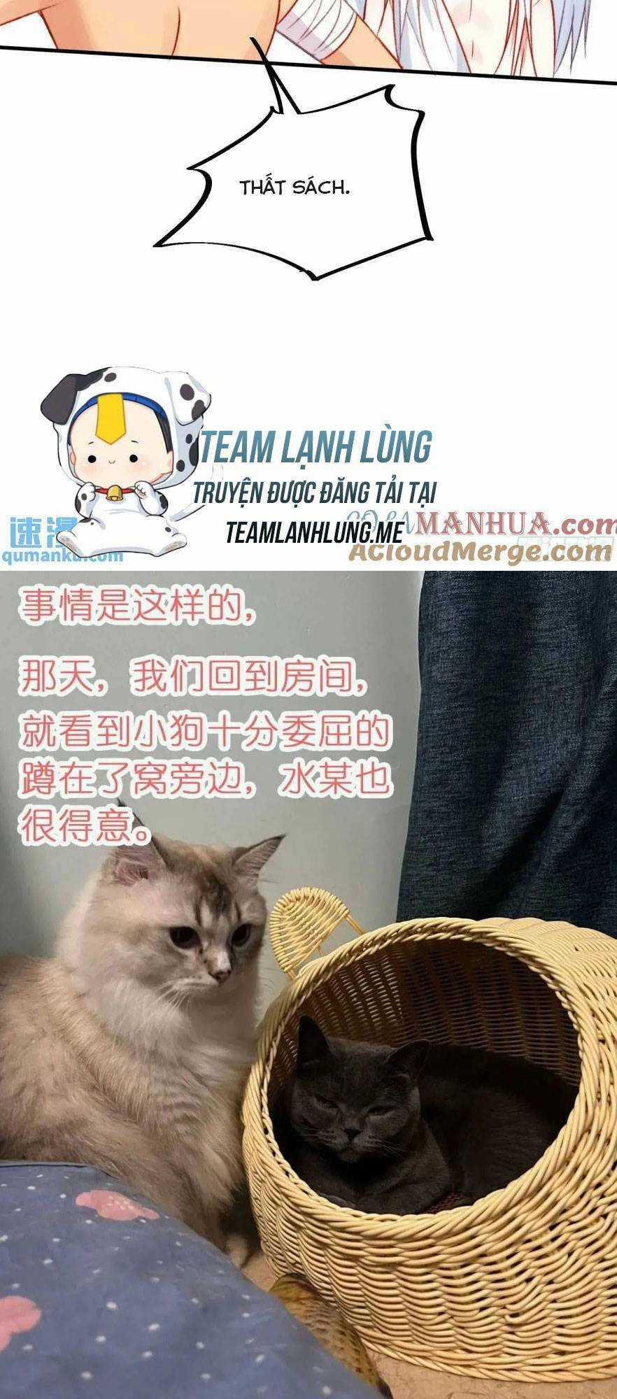 Thú Thế Ngọt Sủng, Tôi Ở Dị Giới Làm Vũ Thần Chapter 36 trang 42