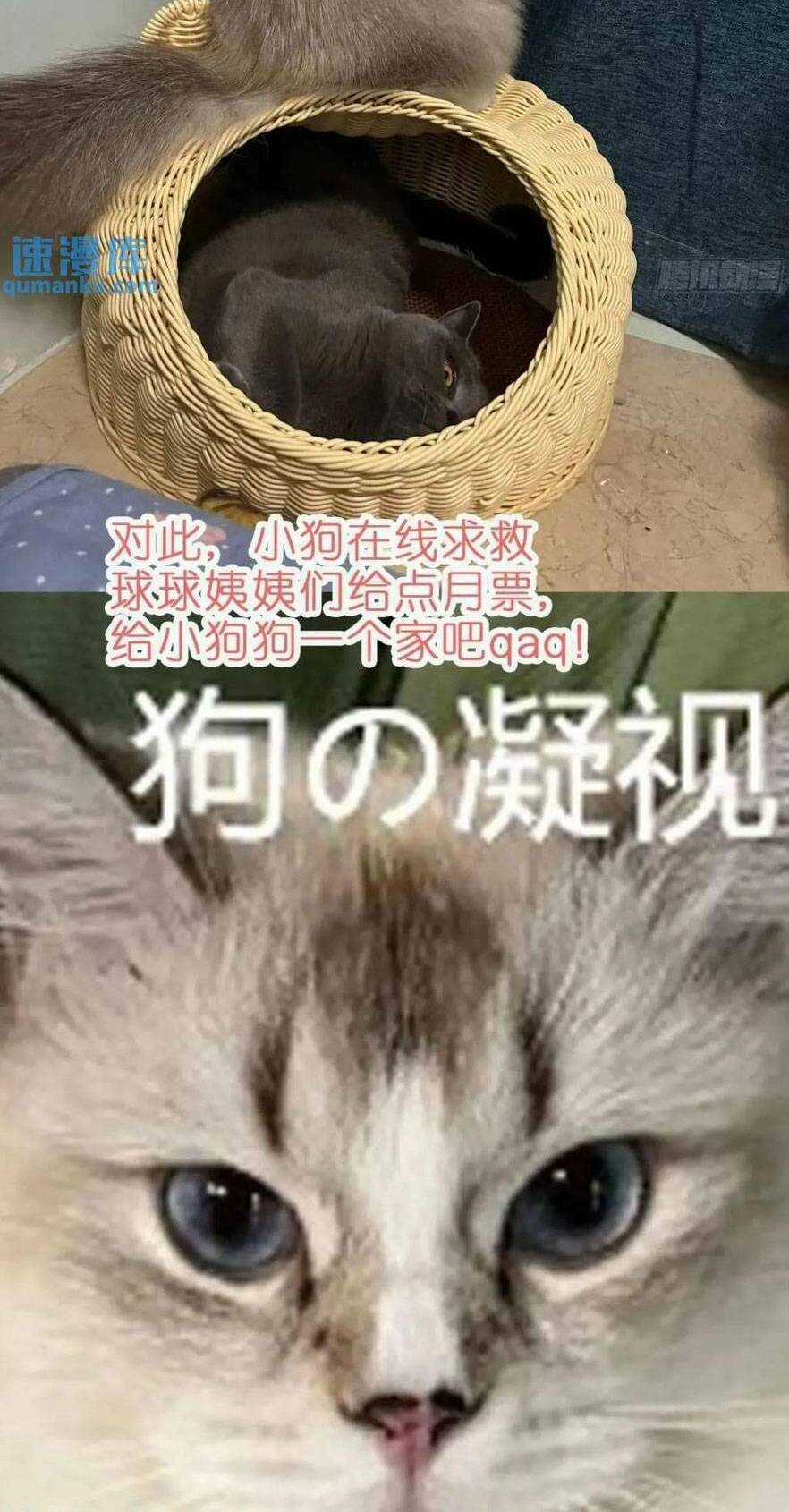 Thú Thế Ngọt Sủng, Tôi Ở Dị Giới Làm Vũ Thần Chapter 36 trang 44