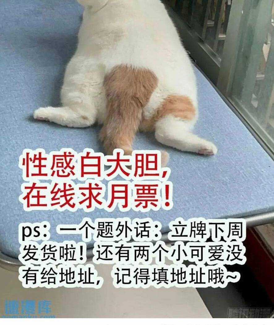 Thú Thế Ngọt Sủng, Tôi Ở Dị Giới Làm Vũ Thần Chapter 37 trang 38