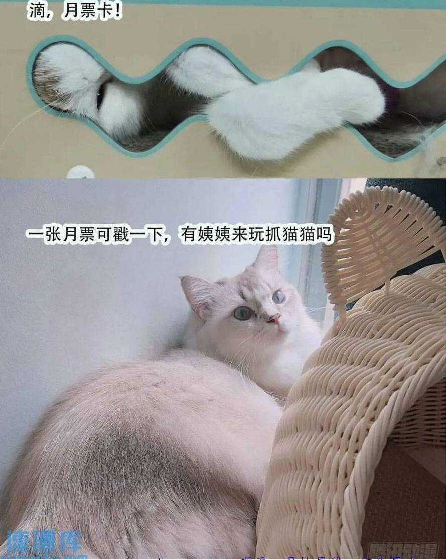 Thú Thế Ngọt Sủng, Tôi Ở Dị Giới Làm Vũ Thần Chapter 38 trang 64