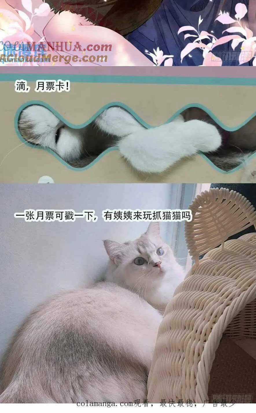 Thú Thế Ngọt Sủng, Tôi Ở Dị Giới Làm Vũ Thần Chapter 47 trang 42