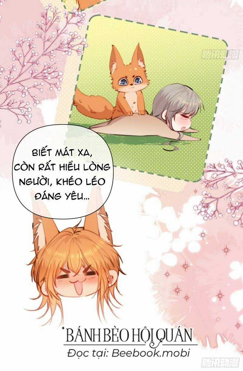 Thú Thế Ngọt Sủng, Tôi Ở Dị Giới Làm Vũ Thần Chapter 8 trang 21