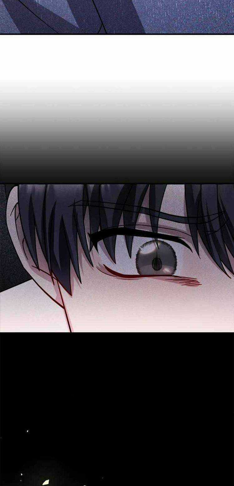 Thư Viện Ẩn Của Siêu Idol Chapter 1 trang 21