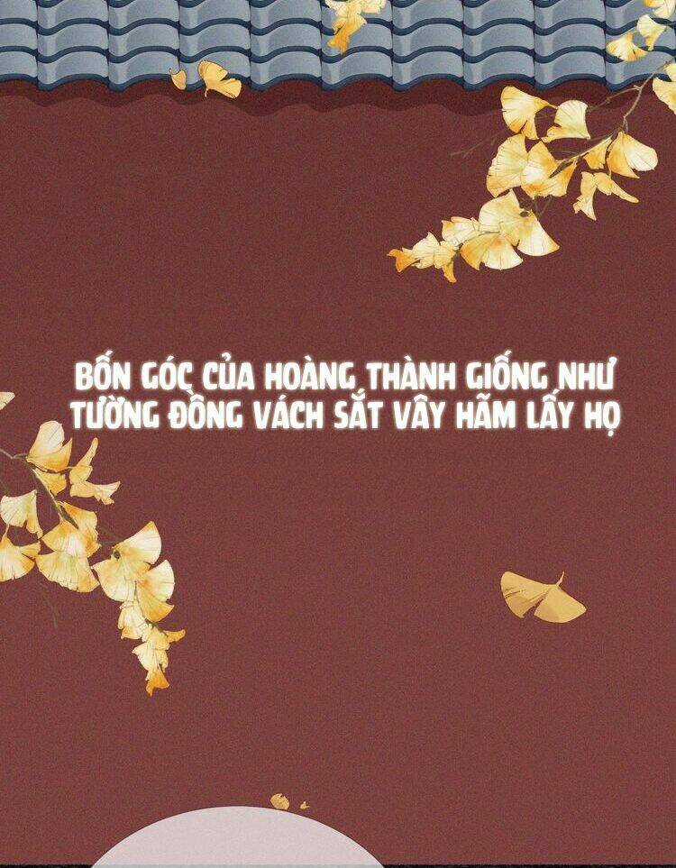 Thừa Tướng, Trẫm Biết Sai Rồi! Chapter 0 trang 13