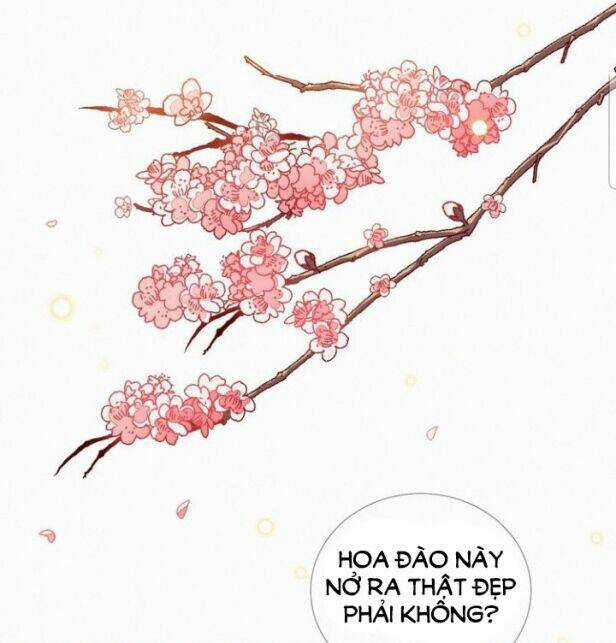 Thừa Tướng, Trẫm Biết Sai Rồi! Chapter 9 trang 29