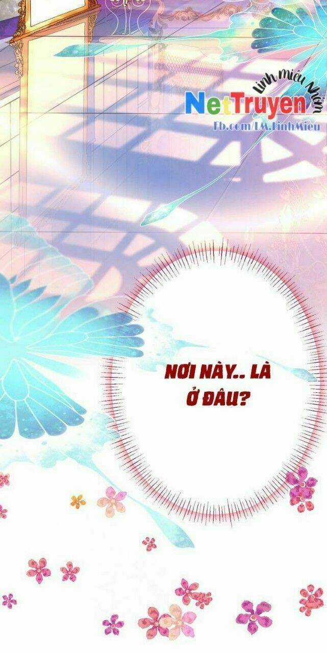 Thuần Bạch Vận Mệnh Chi Luân Chapter 1 trang 16