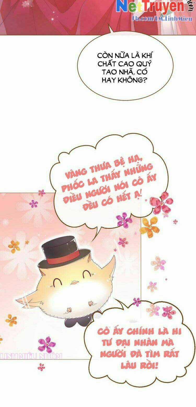 Thuần Bạch Vận Mệnh Chi Luân Chapter 1 trang 26