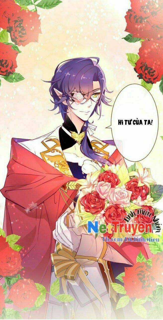 Thuần Bạch Vận Mệnh Chi Luân Chapter 1 trang 28