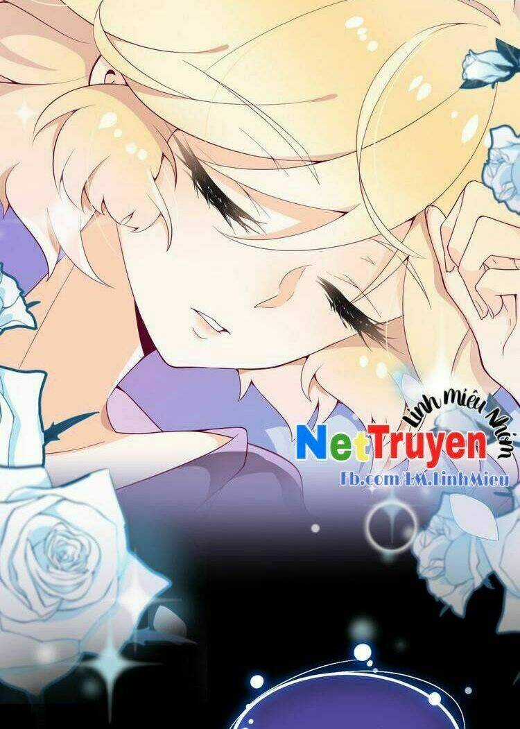 Thuần Bạch Vận Mệnh Chi Luân Chapter 1 trang 4