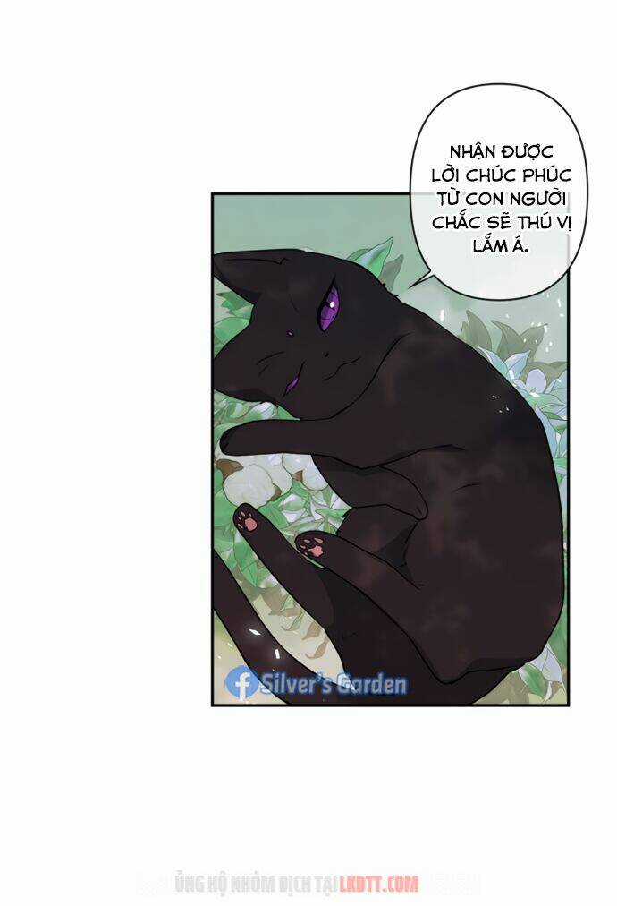 Thuần Hóa Quái Thú Thật Tốt Chapter 17 trang 6