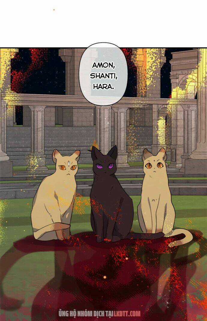 Thuần Hóa Quái Thú Thật Tốt Chapter 18 trang 48