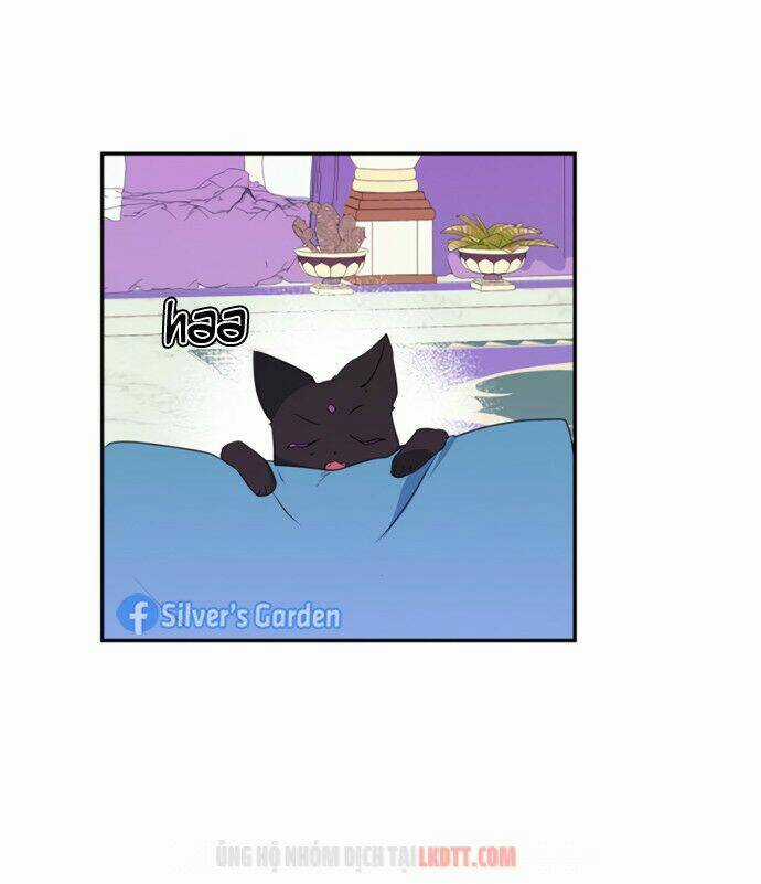 Thuần Hóa Quái Thú Thật Tốt Chapter 19 trang 48