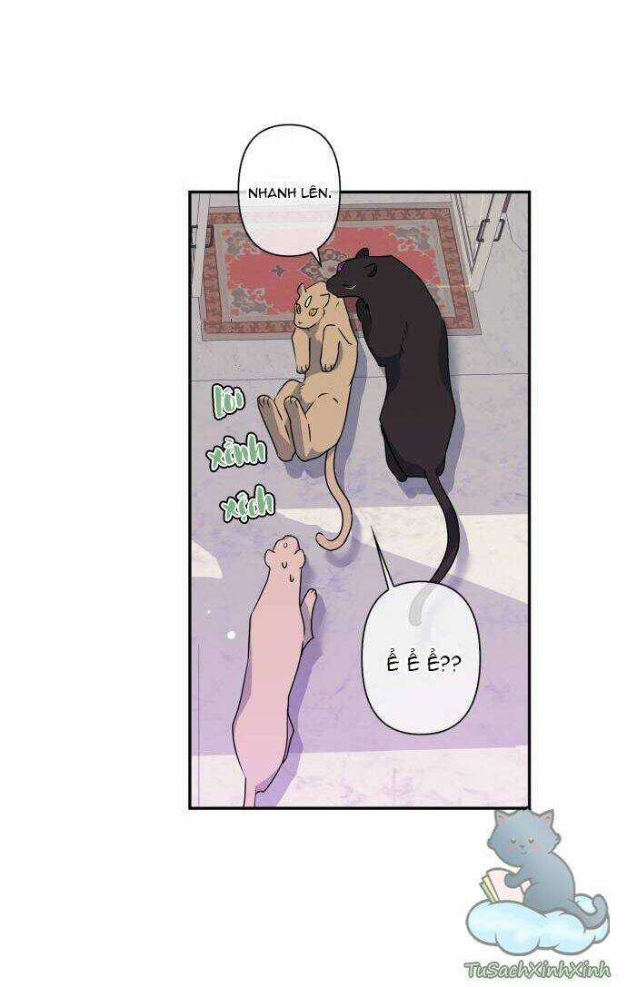 Thuần Hóa Quái Thú Thật Tốt Chapter 37 trang 17