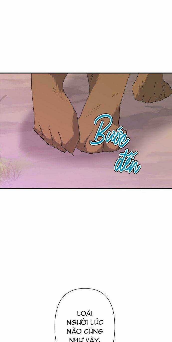 Thuần Hóa Quái Thú Thật Tốt Chapter 60 trang 17